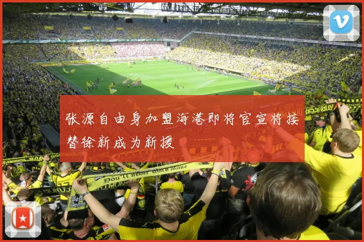 张源自由身加盟海港即将官宣将接替徐新成为新援