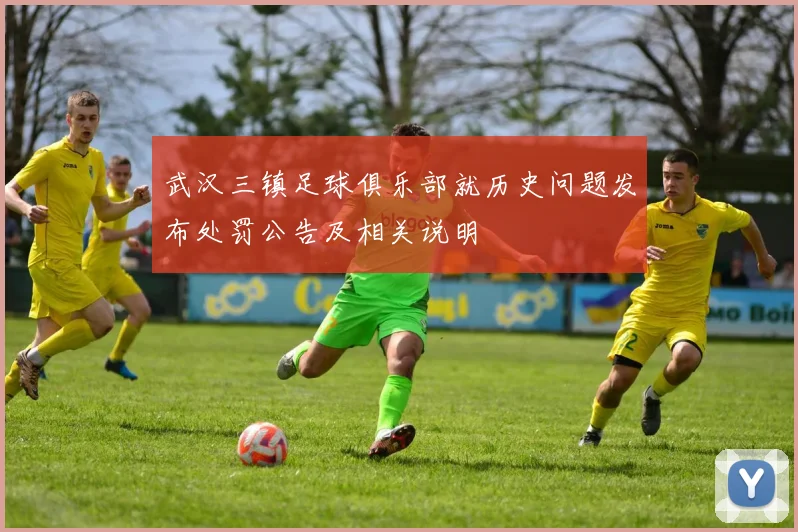 武汉三镇足球俱乐部就历史问题发布处罚公告及相关说明